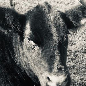 Meet your Posher, Becky